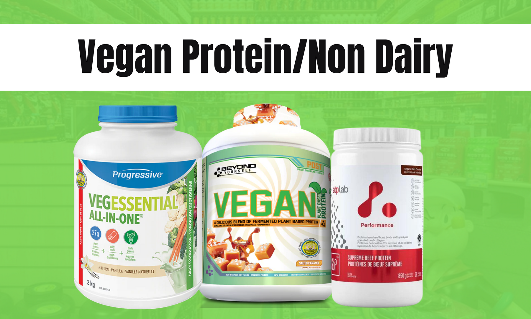 Vegan / Non-Dairy Protein