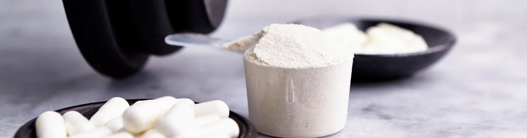 All You Need To Know About Creatine