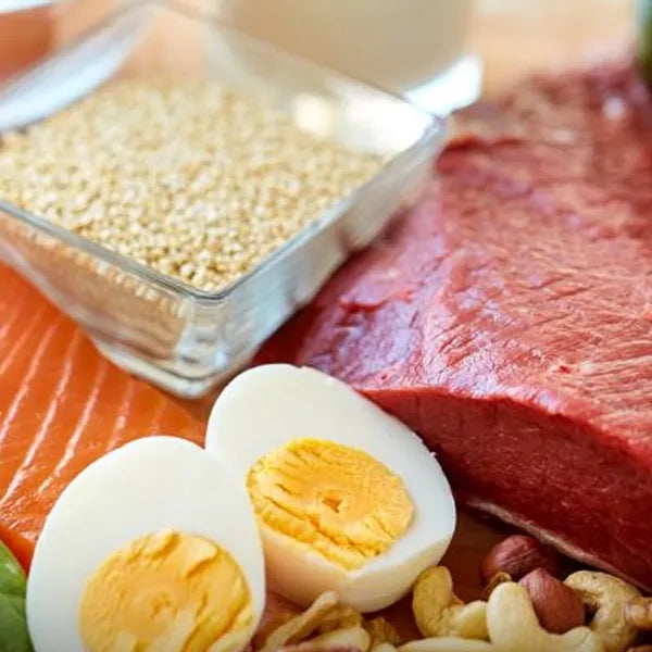 Protein Crash Course: Amount, Timing, Distribution