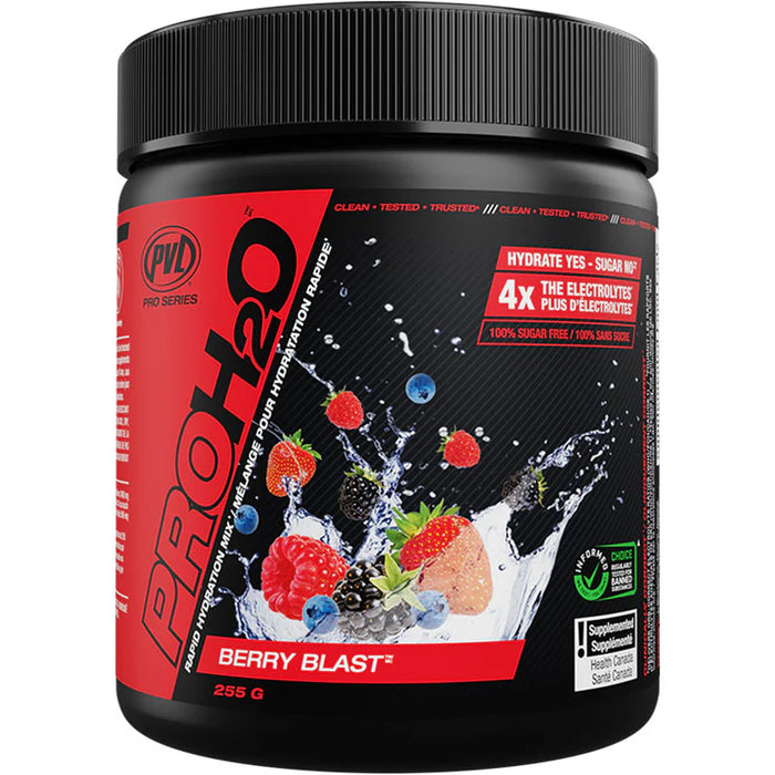 PVL PRO H20 255g