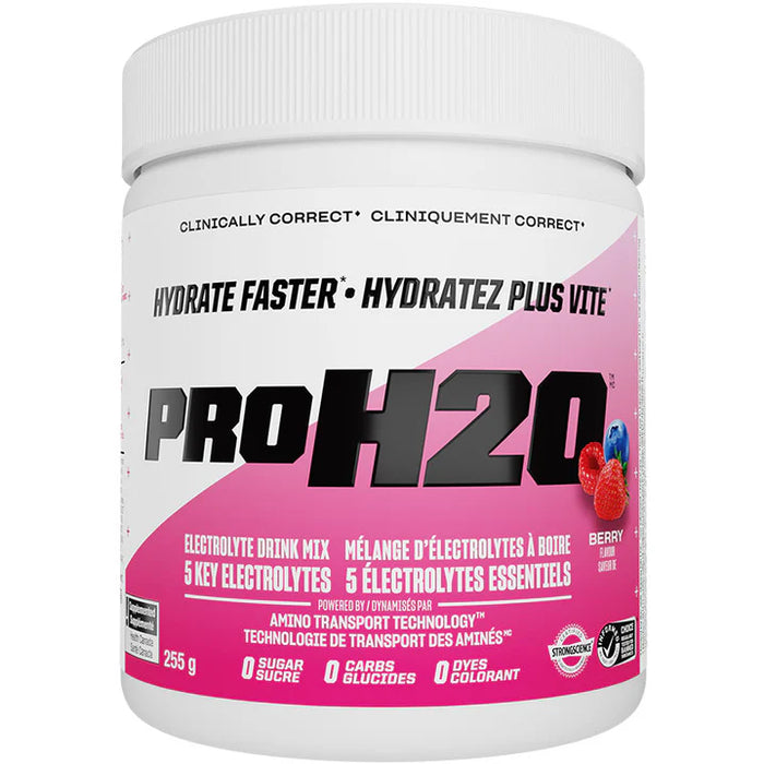PVL PRO H20 255g