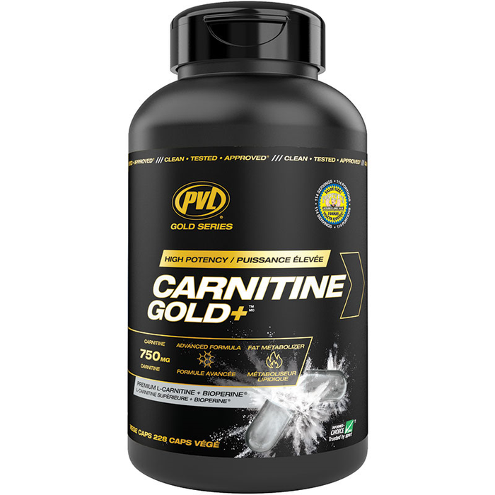 PVL Carnitine Gold Value Size